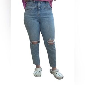 American Eagle Outfitters Light Blue Distressed Skinny Jeans